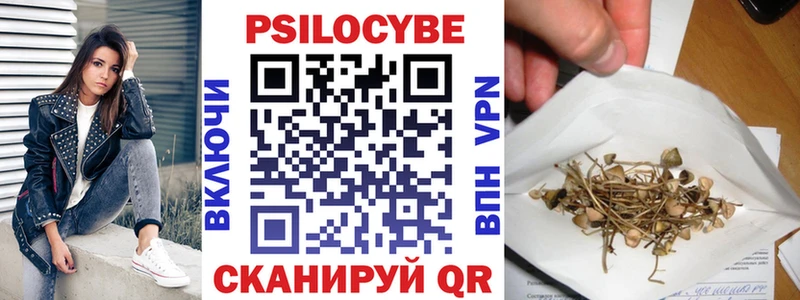 блэк спрут маркетплейс  Иркутск  Галлюциногенные грибы GOLDEN TEACHER 